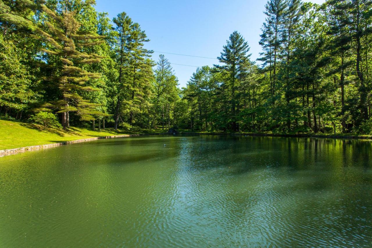 Bull Creek Peaceful Escape Villa Asheville Luaran gambar
